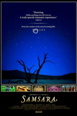 Samsara - 2011